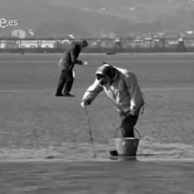 [1968] - La Bahía de Santandar (Mario Camus - RVTE)