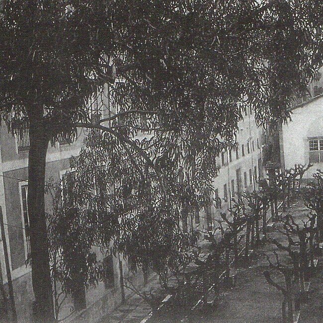 [1905]- Jardines del convento de Santa Clara