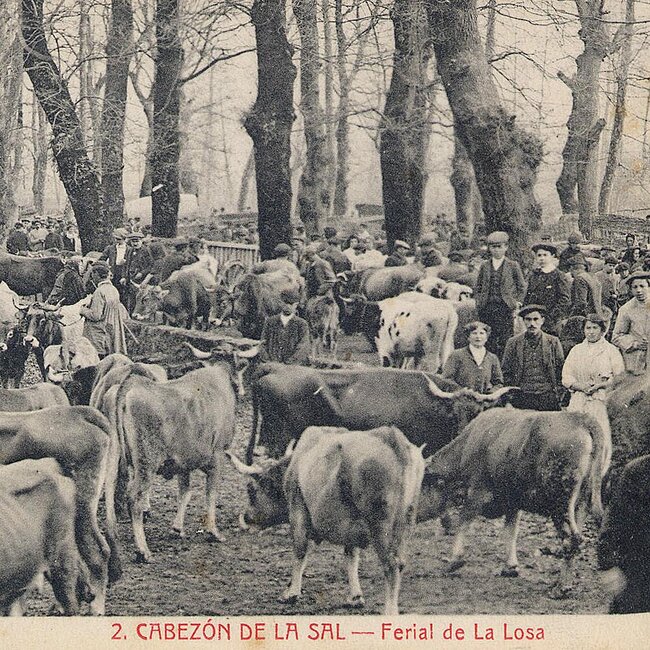 Ferial de La Losa en Cabezón de la Sal