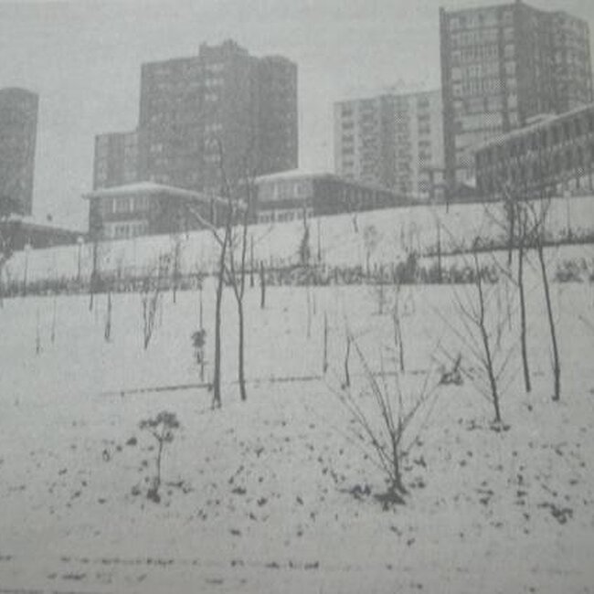 [1983] - Barrio de Cazoña durante la nevada de febrero de 1983
