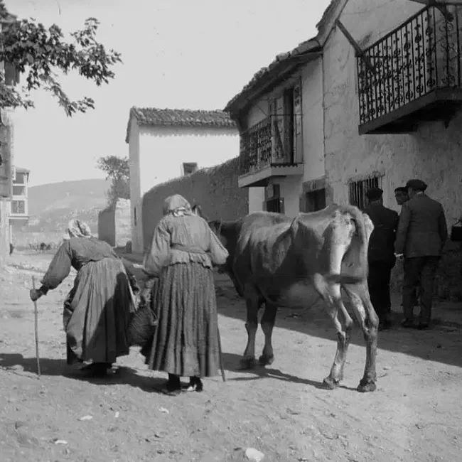 Ganado en tiempos de postguerra