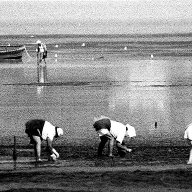 Foto antigua de Pedreña (Marina de Cudeyo)