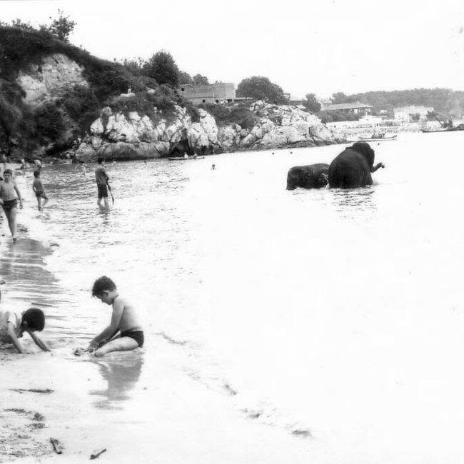 Foto antigua de la playa de la Magdalena (35).jpg