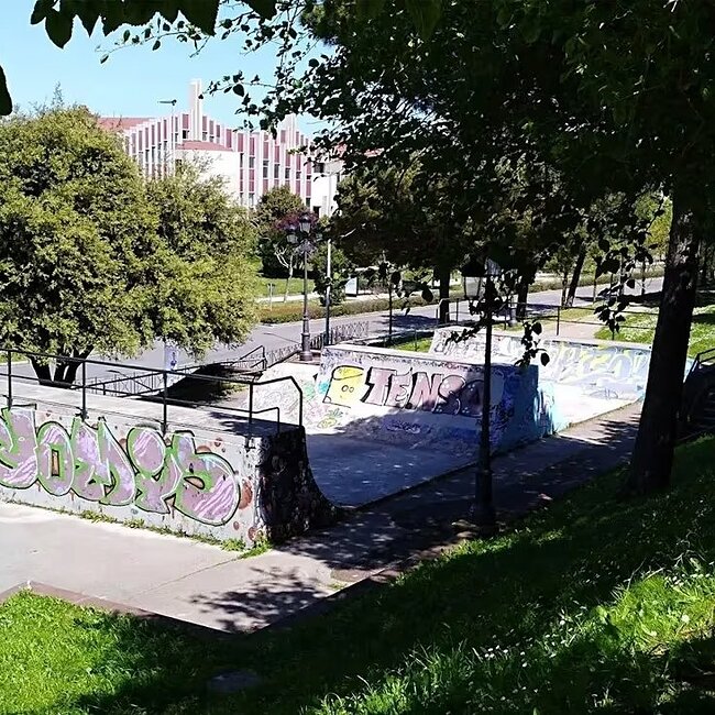 Pista de skate del parque de La Teja