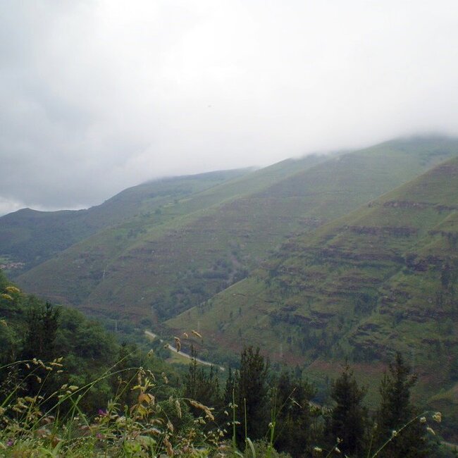 Vista de la carretera de acceso a Los Tojos vista desde el pueblo