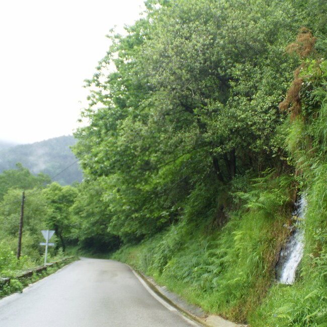 Comienzo de la carretera de acceso a Los Tojos tras cruzar la Punvieja